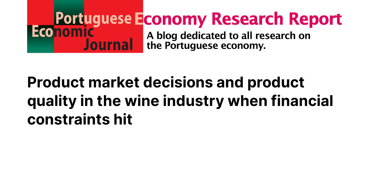 Financial constraints thesis 07 image